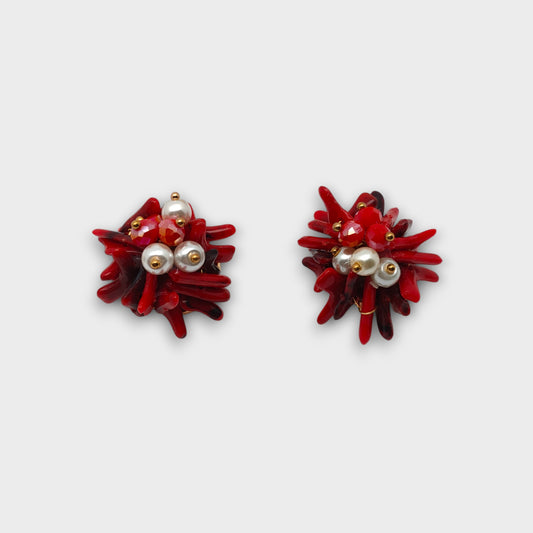 Piccoli Fiori del Mare